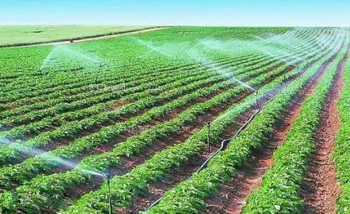 日逼美农田高 效节水灌溉